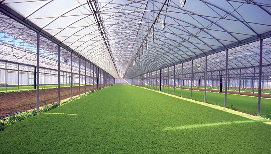 溫室大棚陽(yáng)光板 溫室大棚陽(yáng)光板